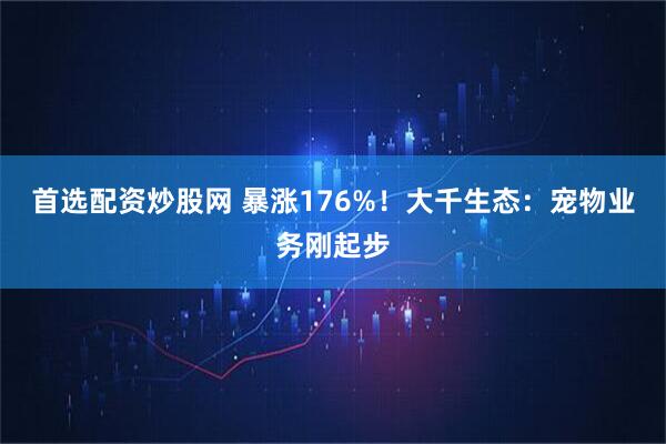 首选配资炒股网 暴涨176%！大千生态：宠物业务刚起步