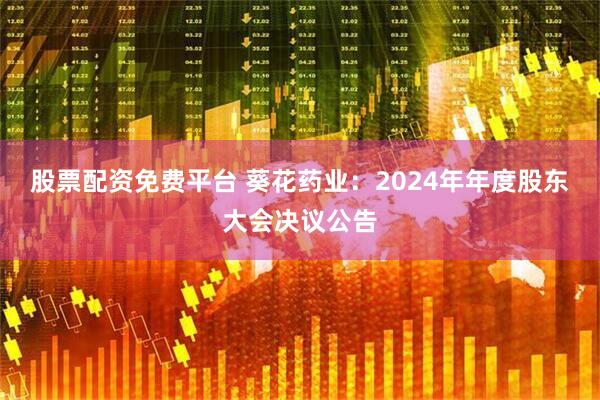 股票配资免费平台 葵花药业：2024年年度股东大会决议公告