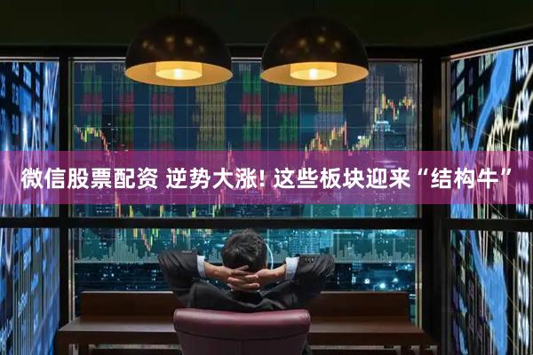 微信股票配资 逆势大涨! 这些板块迎来“结构牛”