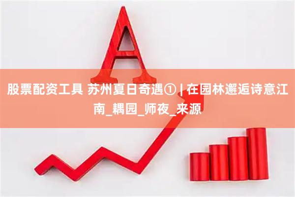 股票配资工具 苏州夏日奇遇① | 在园林邂逅诗意江南_耦园_师夜_来源
