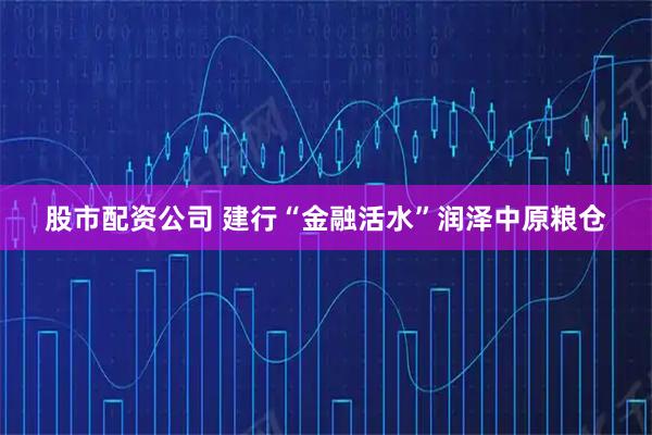 股市配资公司 建行“金融活水”润泽中原粮仓